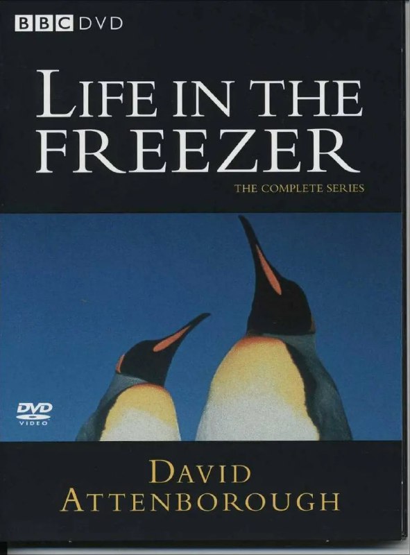 名称：BBC.冰雪的童话 (Life In The Freezer) 1993 全6集 480p[外挂中字]描述：《BBC·冰雪的童话》(Life In The Freezer)是1993年由大卫·艾登堡禄主持的6集极地生态纪录片，采用480p画质并配有外挂中文字幕
