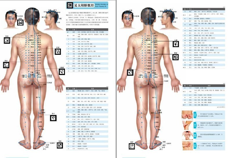 名称：《3D男性经络穴位图册 》  壮阳锁精必学  老中医养生描述：《3D男性经络穴位图册》是一部由老中医养生堂编写的实用指南，该图册以国家标准《腧穴名称与定位》为依据，分部位解析各个穴位定位，并结合视频动态展示十四经脉循行和部分穴位的取穴方法，形象直观