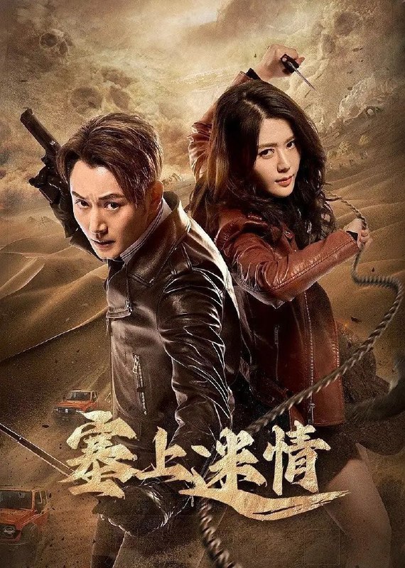 名称：塞上迷情 (2024) 4K 臻彩 20集全 已完结描述：该剧讲述了男主角顾耽(李东学饰)发现自己神秘身世的同时，并带领众人一同开启了西夏宝藏寻宝护宝的故事