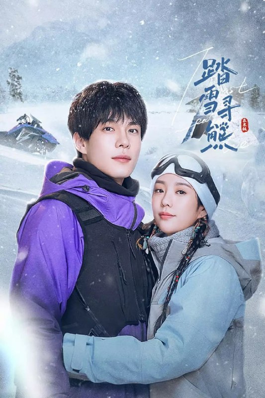 名称：踏雪寻熊 (2025)描述：该剧以南橘北莓的故事为缘起，讲述广西野生动物摄影师沙棠来到抚远，和赫哲族姑娘林蔓悦不打不相识，成为了互怼互坑的欢喜冤家