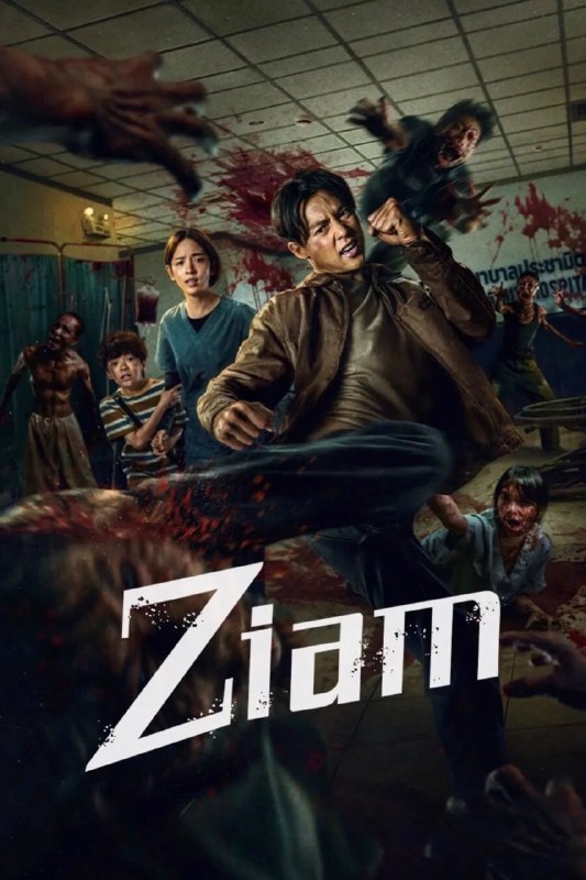 名称：尸杀泰拳 Ziam (2025) [1080P] [泰英双语] [内封多国字幕]描述：面对可怕的丧尸大军，这位前拳击手必须运用拳法、速度、精力来拯救女友，奋力求生