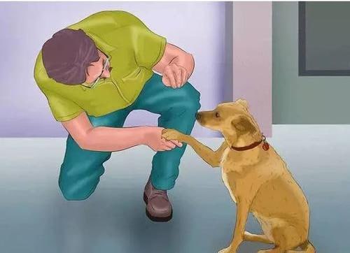 名称：【训犬教程】专业训犬教程（140节课）描述：【训犬教程】专业训犬教程（140节课）是一套全面系统的训犬视频课程，由资深训犬师亲自授课