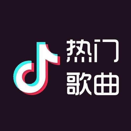 名称：抖音热门歌曲500首描述：涵盖了抖音平台上最受欢迎、最热门的500首歌曲的合集