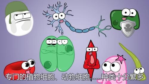 名称：看动画趣味学初中生物描述：《看动画趣味学初中生物》运用活泼多彩的动画，将复杂的生物世界带入课堂，直观展示细胞结构、生态系统、遗传规律等关键知识点