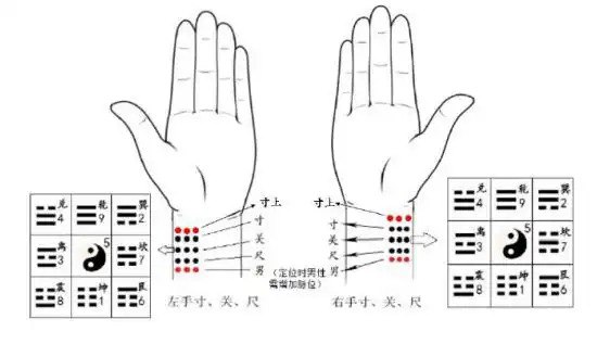 名称：国家非遗传承  太素脉法入门教程  秘传脉法断人吉凶描述：太素脉，是一种通过人体脉搏变化来预言人的贵贱、吉凶、祸福的方术，因为是通过中医诊脉方法来达到这个目的，所以被看成是一种特殊的相术