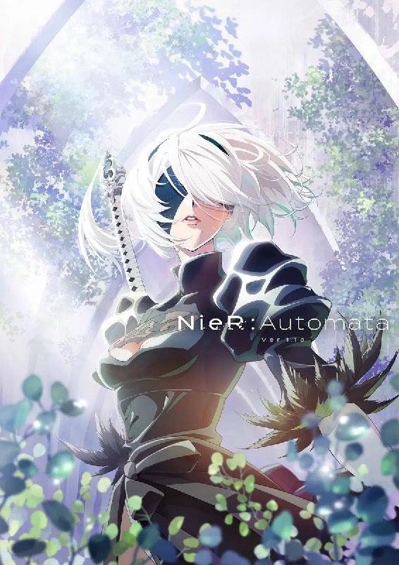 名称：【动漫】尼尔：自动人形 Ver1.1a NieRAutomata Ver1.1a (2023)描述：西历5012年