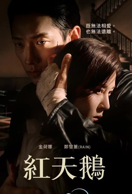 名称：《红天鹅 화인가 스캔들》【1080P】更至2集    描述：人人称羡的财阀夫妻，背后隐藏不为人知的秘密帅气保镳（Rain）的出现解救了她（金荷娜），随着两人恋情逐渐升温拥有谜样身份的他将揭露华丽表象下的阴暗面！浪漫复仇#韩剧#《红天鹅》7月3日Disney+独家上线    链接：