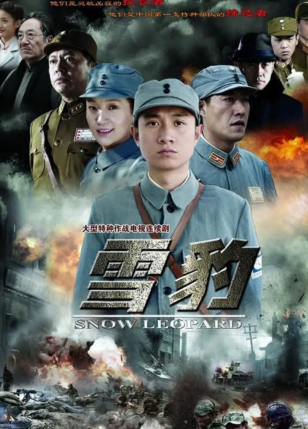 资源标题：雪豹 (2010) 1080P 国语中字全40集  资源描述：该剧改编自业余狙击手的网络小说《特战先驱》， [3]讲述了周卫国从富家子弟走上抗日道路，组建了雪豹特战部队最终成长为优秀指挥官的抗日英雄传奇故事