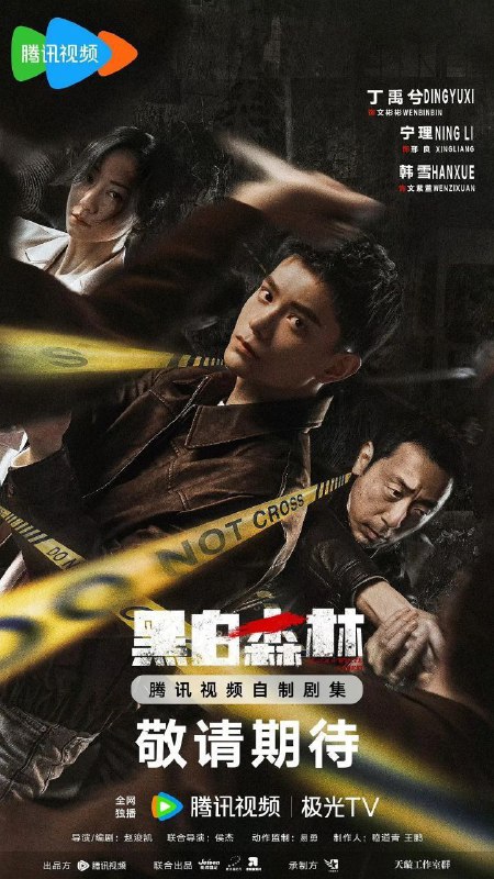 名称：黑白森林 (2024) 4K 更新EP20描述：该剧以一支丢失的枪支为引，勾连起尘封在时间里的滔天秘密，青年刑警文彬彬 （丁禹兮 饰）在支队长邢良（宁理 饰）的帮助下，寻找自己丢失的配枪