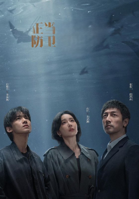 名称：正当防卫 (2025) 已刮削 更新至E05描述：市检察院资深检察官段鸿山在办理“被家暴女性杀夫”案件时，省检察院青年检察官方灵渊被任派协助办案