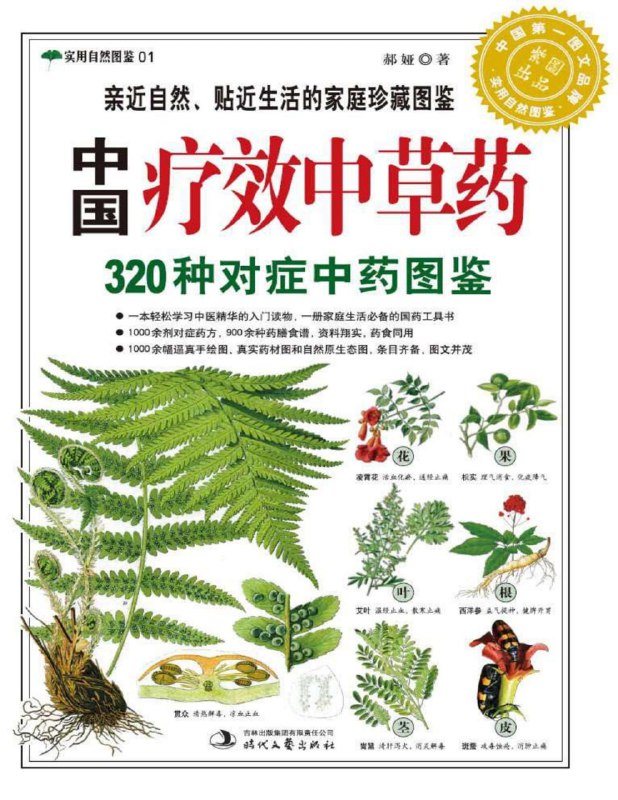 名称：《中国疗效中草药320种对症中药图鉴 》实用自然图鉴描述：《中国疗效中草药 320种对症中药图鉴》是一本关于中草药的图鉴，内容基于现代人的身体状况，并结合了中国古代的多部权威药典进行编写