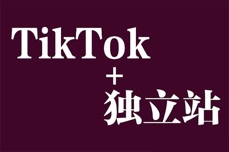 名称：【Tiktok+独立站0基础入门到精通 跨境电商独立站新手必学课】描述：Tiktok+独立站0基础入门到精通，跨境 电商独立站新手必学课