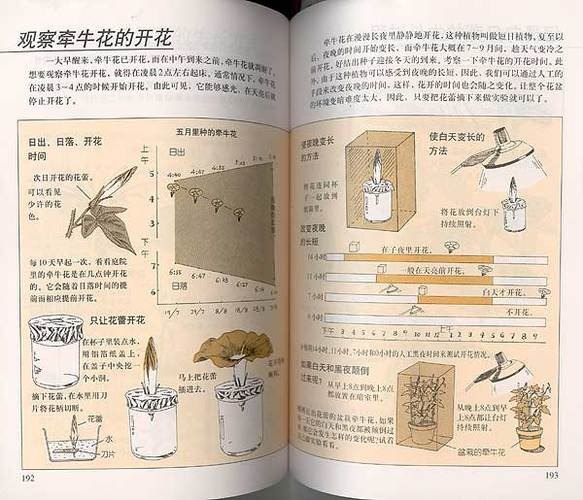 名称：实用百科图鉴描述：《实用百科图鉴》是一套由接力出版社引进的百科类图书系列，内容涵盖生活、手工、探险、自然、实验、游戏、饲养栽培等多个领域