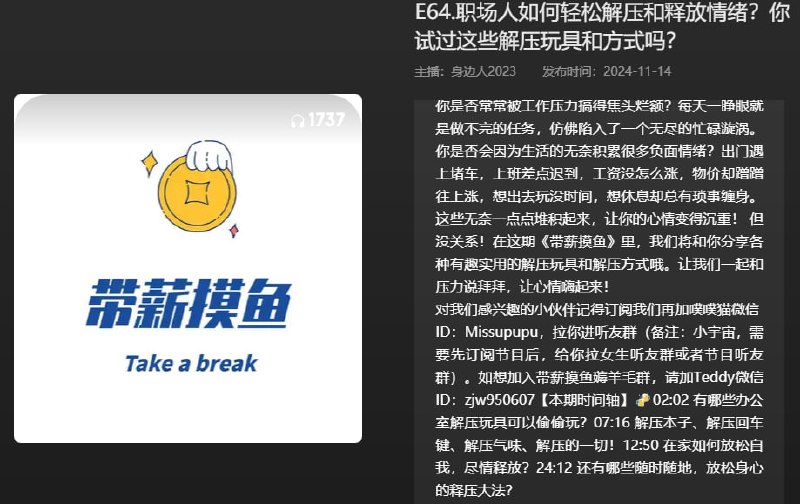 名称：【播客】职场人如何轻松解压和释放情绪？你试过这些解压玩具和方式吗？【31分钟】描述：N链接：