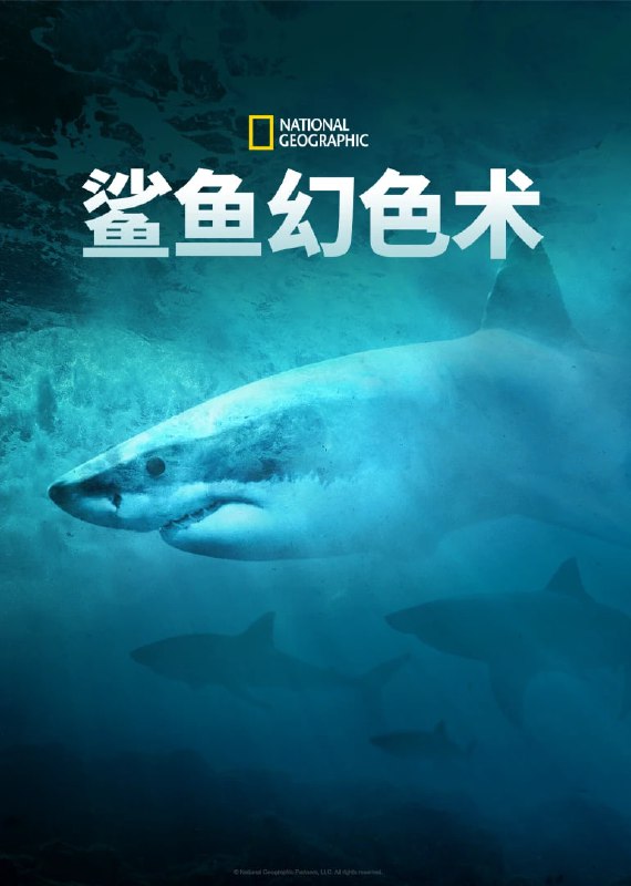 名称：鲨鱼幻色术 Camo Sharks (2022)描述：鲨鱼能随意改变肤色来增强自己的捕食能力吗？两位大胆又充满奇思妙想的的鲨鱼生物学家通过开创性的实验回答了这个进化问题