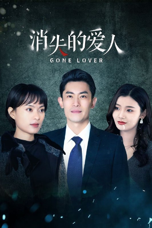 名称：消失的爱人 (2025) 1080P SDR 更新EP20描述：一手创办公司的女强人许希，爱上了帅哥妈宝男刘凯安