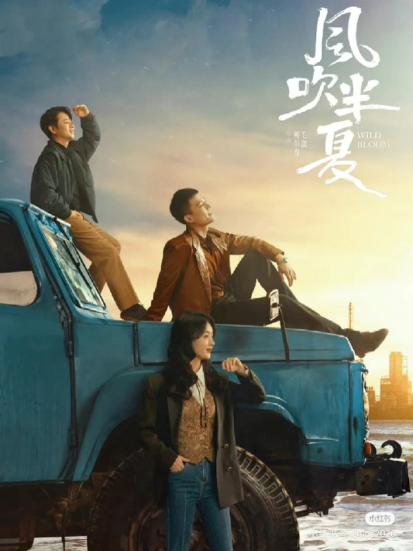 名称：风吹半夏 (2022)描述：这是一部时代群像闯剧，讲述了以许半夏为首的有志者怀抱雄心壮志在改革开放的大潮中，奔流涌动，积极探索，不断创新的故事，也展现了上世纪九十年代中小企业在时代浪潮中生存并寻求发展的现实