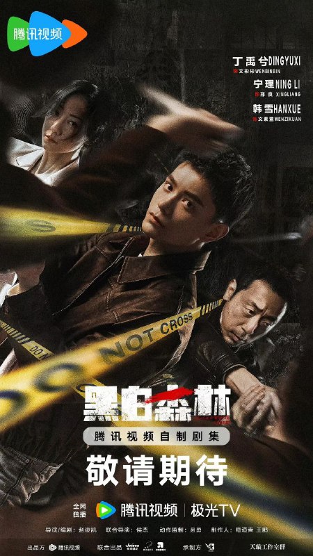 名称：黑白森林(2024)【28集全】【4K.HDR】【内嵌中字】【剧情/犯罪/悬疑】【丁禹兮/宁理/韩雪】描述：该剧以一支丢失的枪支为引，勾连起尘封在时间里的滔天秘密，青年刑警文彬彬 （丁禹兮 饰）在支队长邢良（宁理 饰）的帮助下，寻找自己丢失的配枪