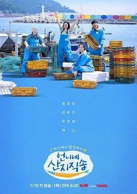 名称：投稿描述：导演:김세희主演:廉晶雅/安恩真/朴俊勉/金珍荣类型: 真人秀制片国家/地区: 韩国语言: 韩语首播: 2024-07-18(韩国)又名: Fresh Off The Sea剧情简介以韩国美丽的海边村庄为背景的新综艺节目