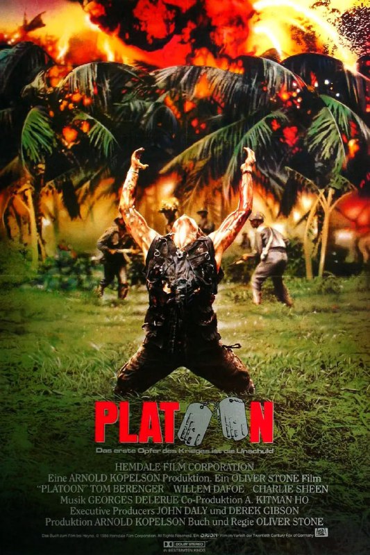 名称：野战排 Platoon (1986)描述：泰勒(查理•辛 Charlie Sheen 饰)是越战期间的一名美国大学生，他前往越南前线去服兵役，被分到了一个步兵部队