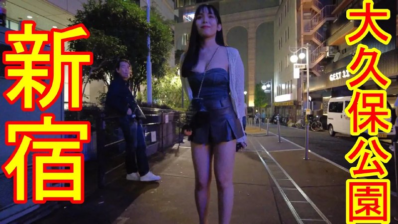 名称：本日の大久保公園・夜の新宿歌舞伎町をお散歩！ラブホテル街 Night Walk in Tokyo Shinjuku Kabukicho Okubo Park Relaxing Japan Walk描述：高清现场纪录，站街女质量是真高！数量也是真多！怪不得这几年移民日本的中国人越来越多