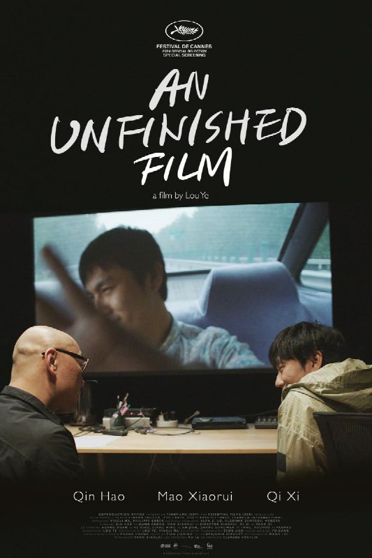 名称：一部未完成的电影 2024 娄烨 导演描述：《一部未完成的电影》(英语：An Unfinished Film)是2024年上映的纪录剧情片，由中国导演 娄烨 执导，娄烨 与 马英力 共同编剧，秦昊、梁鸣、毛小睿、齐溪、黄轩 和 张颂文 共同主演