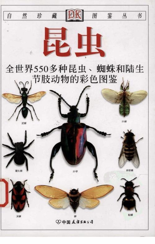 名称：《昆虫：全世界550多种昆虫、蜘蛛和陆生节肢动物的彩色图鉴》5本PDF合集描述：《全世界450多种哺乳动物的彩色图鉴+恐龙大百科》5本PDF合集是一部涵盖哺乳动物与恐龙两大生物群类的综合性图鉴