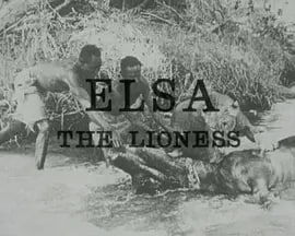 名称：《母狮爱尔莎.Elsa.the.Lioness.》外挂英字.PDTV.x264.AAC (1961)描述：《母狮爱尔莎.Elsa.the.Lioness.》是1961年BBC播出的珍贵野生动物纪录片短片，记录了大卫·爱登堡在肯尼亚探访乔治·亚当森和乔伊·亚当森夫妇，并与传奇母狮爱尔莎及其幼崽相处的最后时光