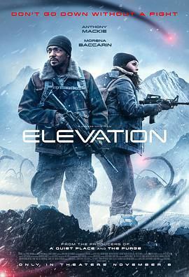 名称：《高处营救Elevation (2024)》 描述：2024年11月8日在美国上映的《高处营救Elevation (2024)》，由乔治·诺非执导，莫蕾娜·巴卡琳、安东尼·麦凯等主演