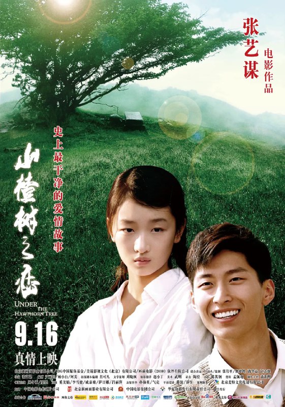 名称：山楂树之恋 (2010) 4K描述：20世纪70年代初，响应毛主席号召，知识青年上山下乡