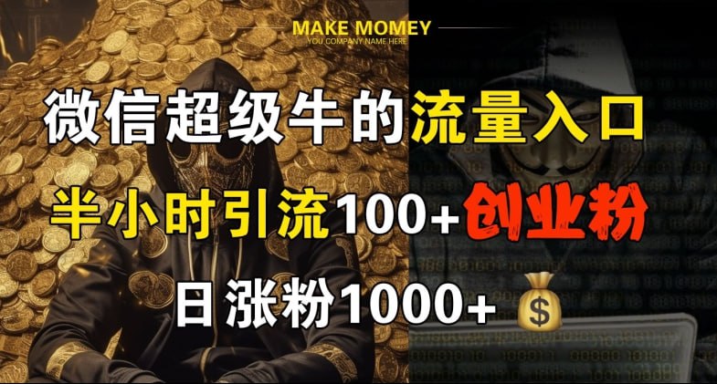 名称：【微信超级牛的流量入口】半小时引流100+创业粉，日涨粉1000+描述：2024年，微信日活已达13亿