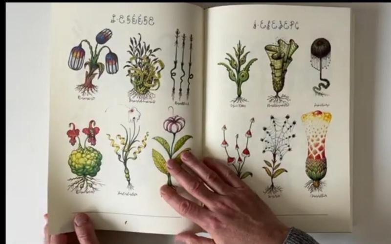 名称：Codex Seraphinianus 塞拉菲尼抄本描述：《Codex Seraphinianus》（塞拉菲尼抄本）是意大利艺术家、建筑师鹿易吉·塞拉菲尼的杰作，被誉为“另一个世界的百科全书”