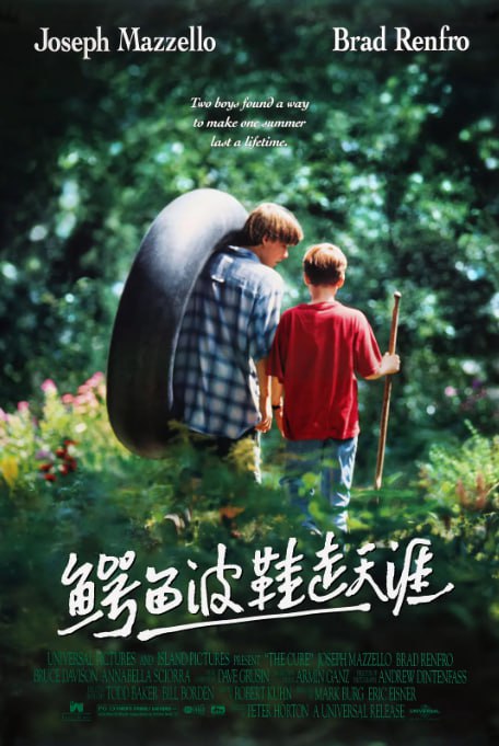 名称：[鳄鱼波鞋走天涯][1995][外挂双语字幕][1080P蓝光][7.8G]描述：讲述了两个男孩的故事，其中一个男孩患病，另一个男孩陪伴他度过最后时光，两人在相处过程中建立了深厚的友谊，以纯真的视角展现了面对疾病和死亡时的情感与成长