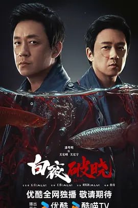 名称：白夜破晓 [2024]【更05集】[悬疑 犯罪][[附第1季+重逢版]描述：白夜系列之《白夜破晓》讲述了被灭门惨案牵连的双胞胎兄弟关宏峰和关宏宇（潘粤明 饰），与隐藏在暗处的犯罪组织对抗，联合多方力量，追查“2·13灭门案”真相，最终光明战胜黑暗的故事