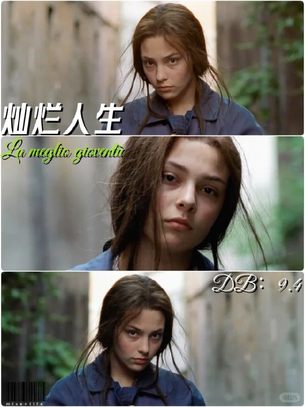 名称：灿烂人生 La meglio gioventù (2003)描述：记录了一个普通意大利家庭从1966年到2000年将近40年悲欢浮沉的故事，一个平淡而又辉煌的“人生史诗“