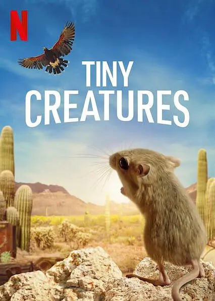 名称：微观世界 Tiny Creatures (2020)描述：有关生存的精彩故事在美国各地不为人知的世界里上演，这部自然纪录片系列捕捉了各种小动物令人着迷的生活