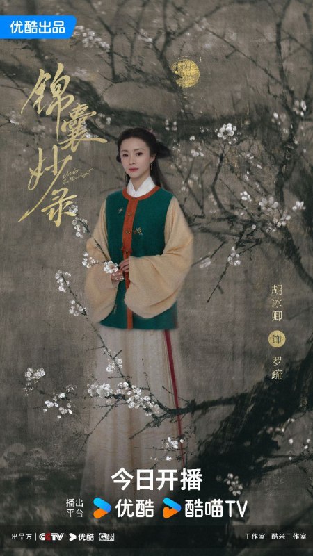 名称：《锦囊妙录》 更至11描述：2025年备受期待的剧集《锦囊妙录》来啦！由胡冰卿、翟子路、贺鹏实力主演