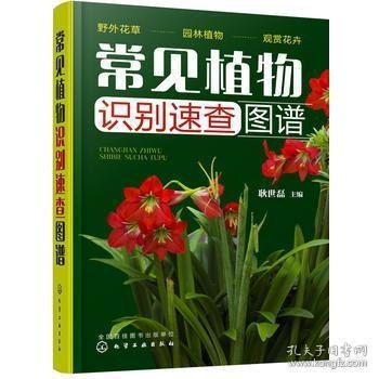 名称：《500种野菜野外识别速查图鉴》野菜图谱科普[pdf.epub]描述：《500种野菜野外识别速查图鉴》野菜图谱科普[pdf.epub]链接：