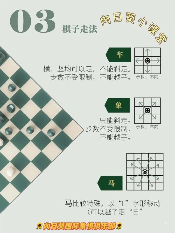 名称：《国际象棋入门》修订本 棋牌图书编委会[pdf]描述：《国际象棋入门（修订本）》从基础讲解到实战提高，迅速提升您的国际象棋棋艺