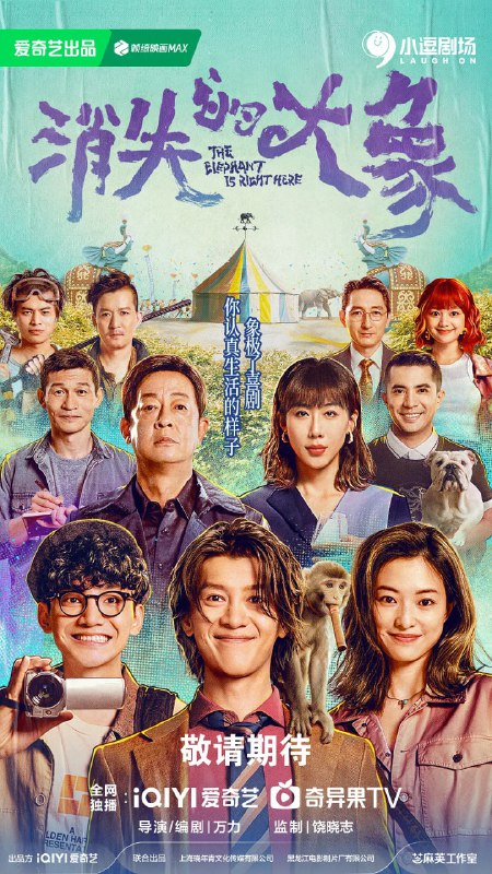 名称：消失的大象 (2024)描述：一个没落的五线小城——象城，即将迎来一场国际马拉松