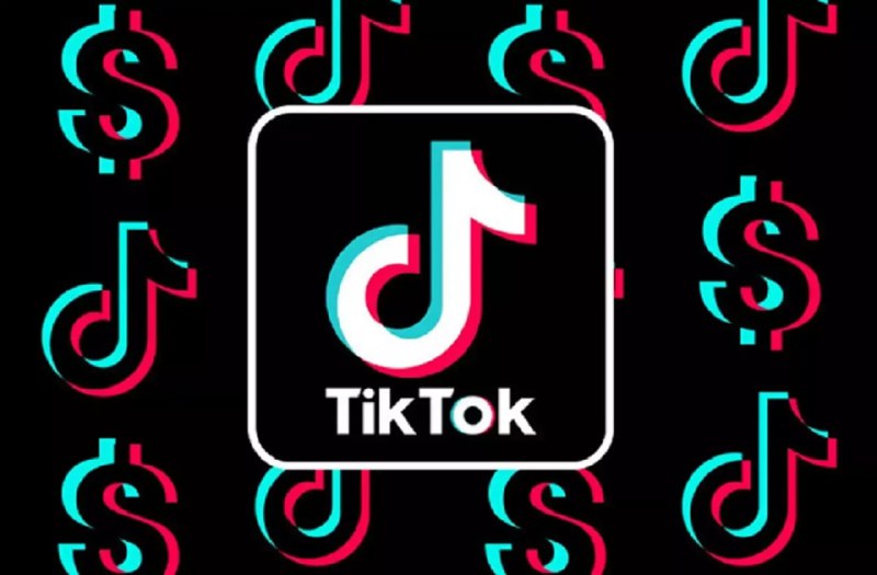 名称：TikTok新手避坑指南，入局TikTok，远离常见误区描述：TikTok新手避坑指南视频教程，专为入局TikTok的新手打造，通过生动案例与实操演示，全面解析入局TikTok过程中的常见误区，包括内容创作、账号运营、粉丝互动等方面