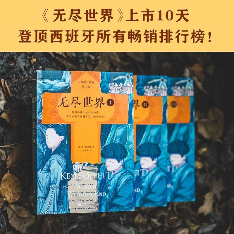 《中世纪三部曲+前传_圣殿春秋_无尽世界_永恒火焰_暗夜与黎明_惠天言亮解读版》惠天言亮深度解读肯·福莱特中世纪史诗，揭秘历史洪流下的人性光辉与权力博弈，带你沉浸式体验千年传奇