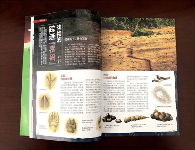 《博物杂志2004-2022全集自然科学合集》探索自然奥秘，收录2004-2022年精彩内容，带你领略科学与自然的完美融合️ #自然科学 #博物杂志全集 #科普读物 2025-08-01 07:14:43🔗 