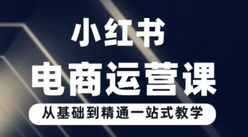 《小红书电商运营0基础入门到精通》从小白到运营高手，手把手教你玩转小红书电商，快速掌握爆款笔记与高效变现技巧