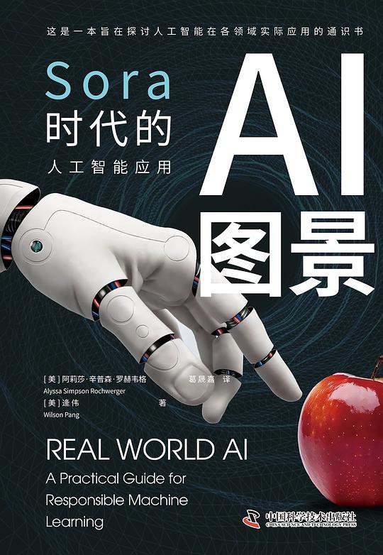 《AI图景：Sora时代的人工智能应用 》探索Sora驱动的AI创新，揭秘视频生成与多模态技术如何重塑行业未来