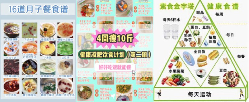 《食物营养健康知识集》精选实用营养知识，科学搭配饮食指南，助你轻松掌握健康秘诀，提升生活质量