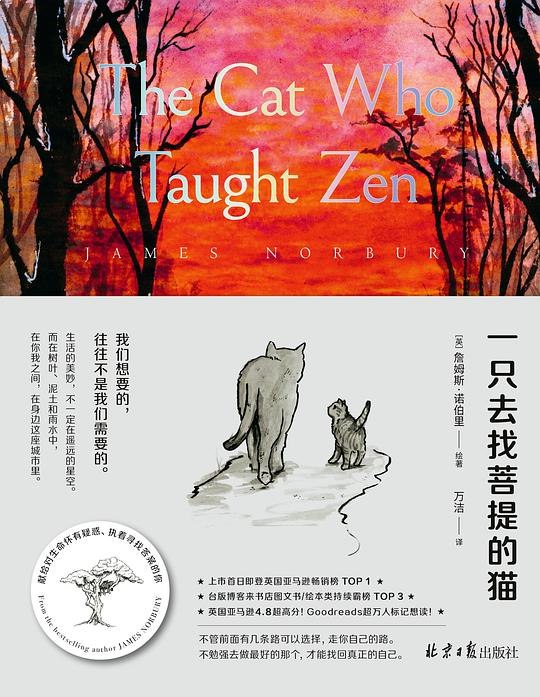 名称：《一只去找菩提的猫 》亮点：一只猫的奇幻之旅，寻找菩提的智慧与内心的平静，温暖治愈又充满哲理
