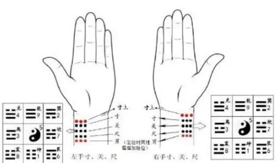 《国家非遗传承 太素脉法入门教程 秘传脉法断人吉凶》揭秘太素脉法精髓，快速掌握脉象与吉凶关联，非遗传承人亲授秘技️ #太素脉法 #国家非遗 #脉法入门 #秘传绝学 #中医诊断 2025-07-02 13:31:39🔗 