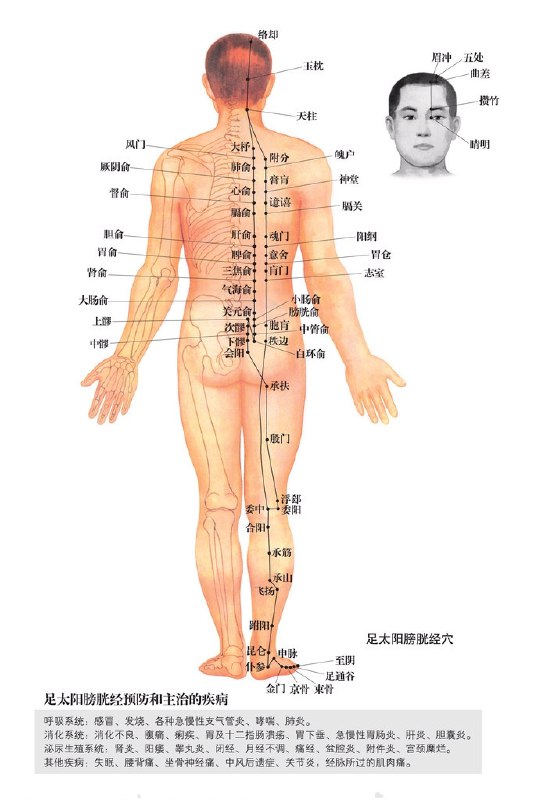 《中医高清脉学和经络图》高清呈现中医脉象与经络走向，直观易懂，助力学习和实践️ #中医学习 #中医高清脉学和经络图 #医学教育 2025-07-24 09:24:36🔗 