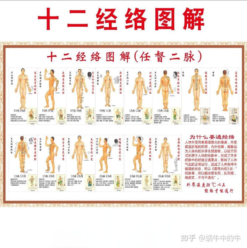 《经络诊断与处方十二经络循》结合中医理论与现代实践，系统解析十二经络循行规律，提供实用诊断方法与调理方案，适合中医爱好者及从业者学习参考